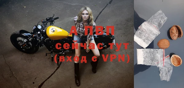 ешки Абаза